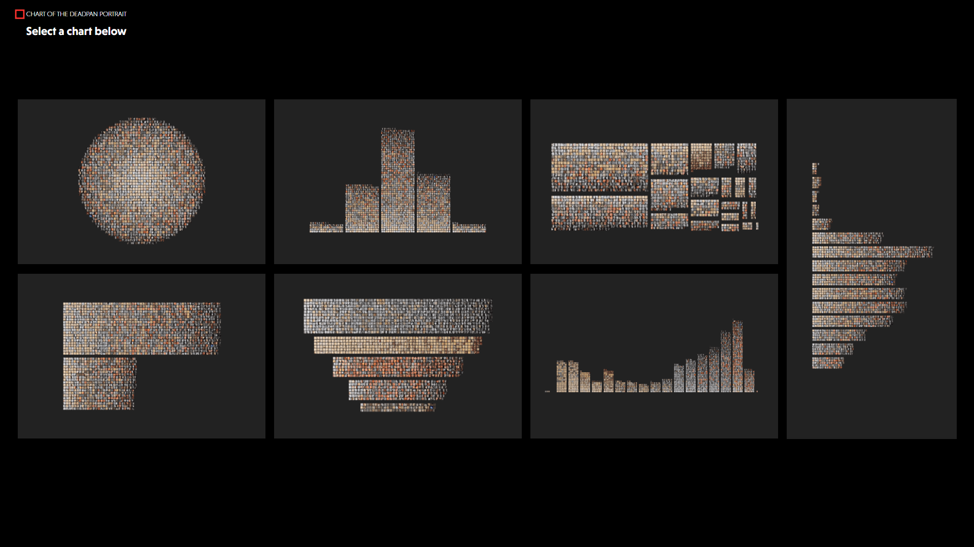 Portrait Data Visualiser